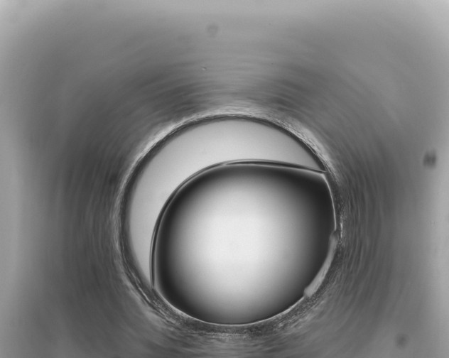 X0000095130436200712071012