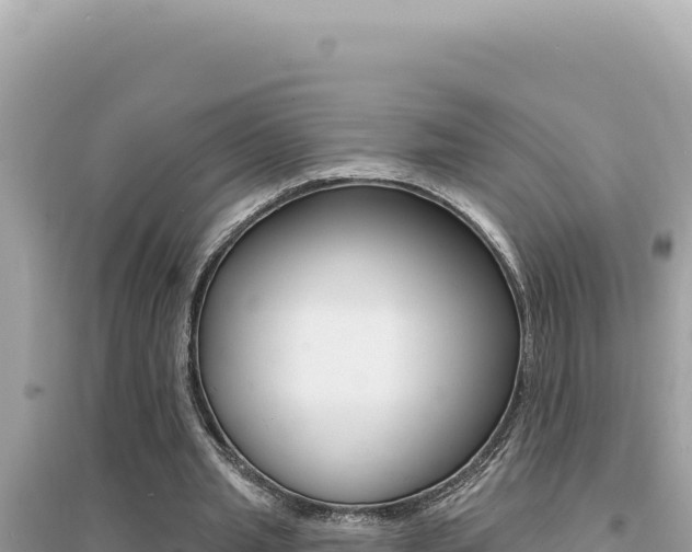 X0000095130437200712071012
