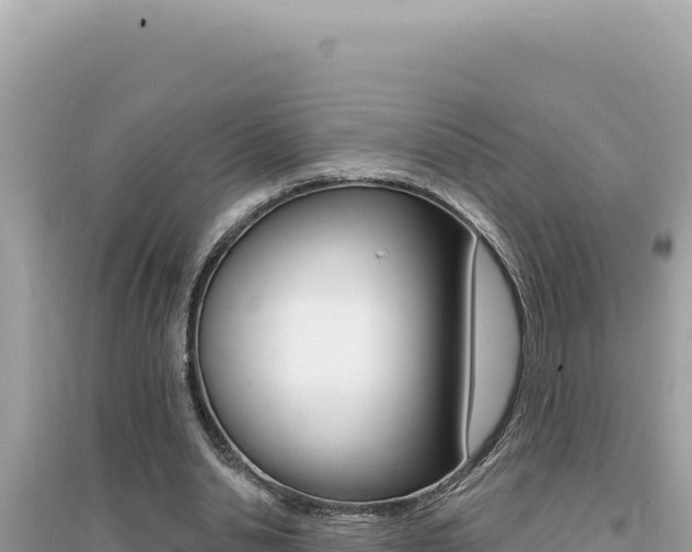 X0000095130438200712071012