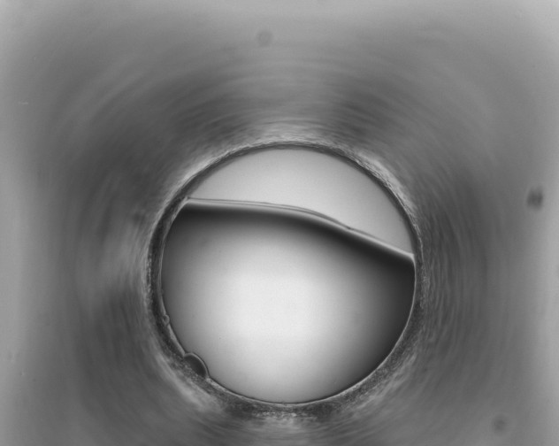 X0000095130439200712071012