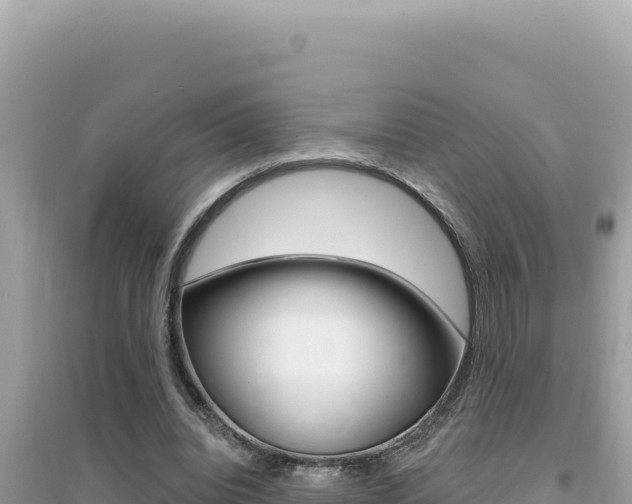 X0000095130440200712071012