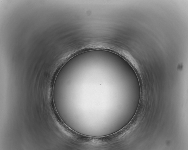 X0000095130441200712071012