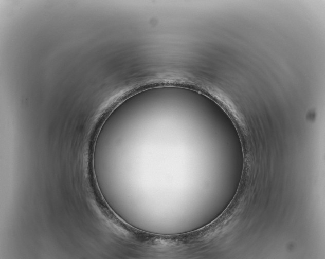 X0000095130442200712071012
