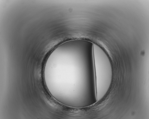 X0000095130443200712071012