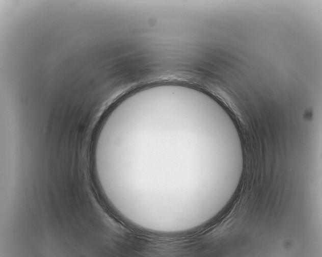 X0000095130444200712071012