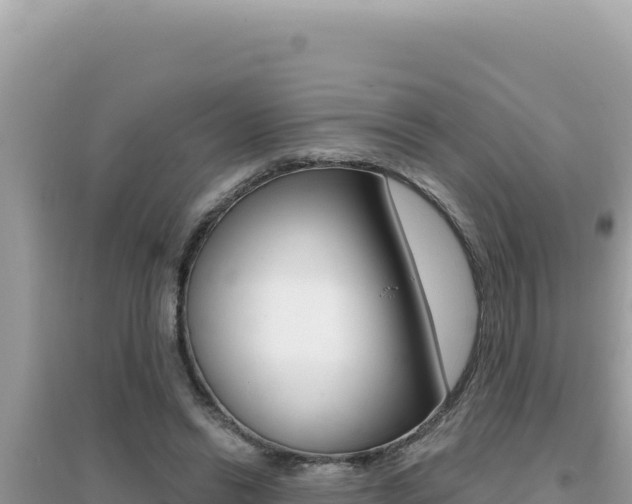 X0000095130446200712071012
