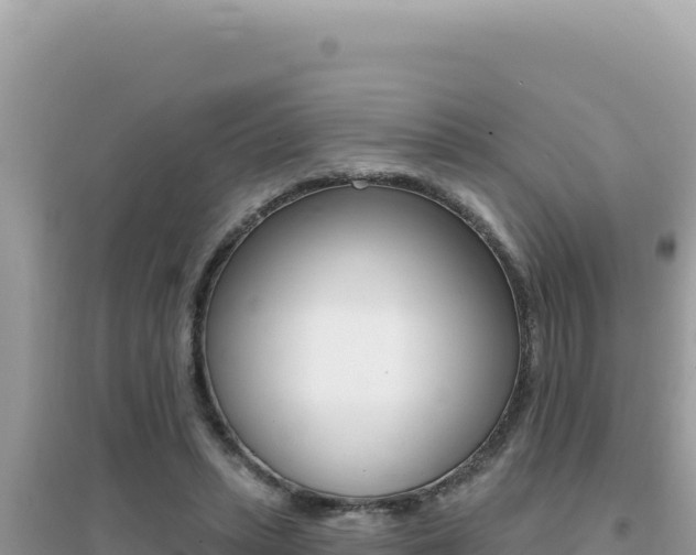 X0000095130447200712071012