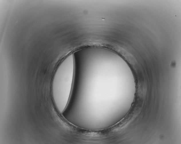 X0000095130449200712071012