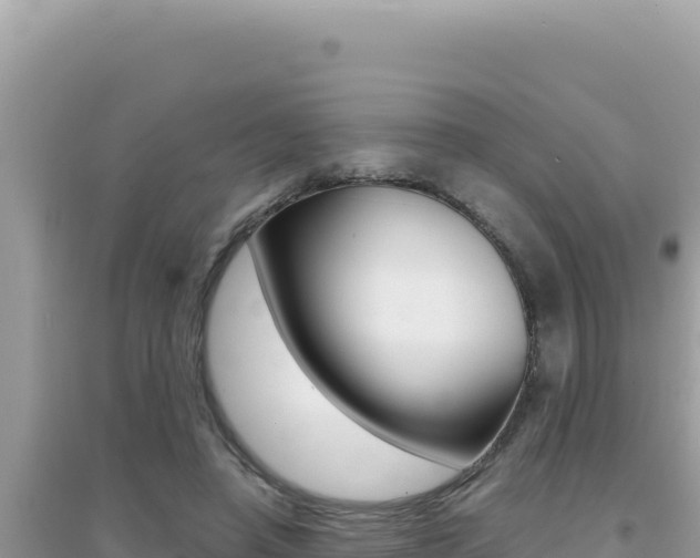 X0000095130450200712071012