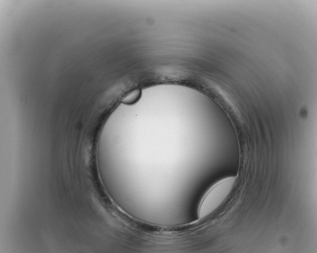 X0000095130451200712071012