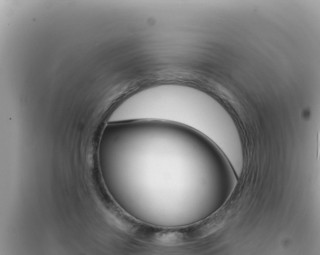X0000095130452200712071012