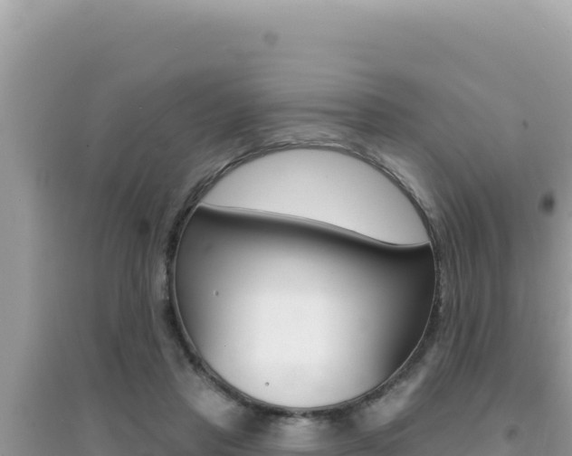 X0000095130453200712071012