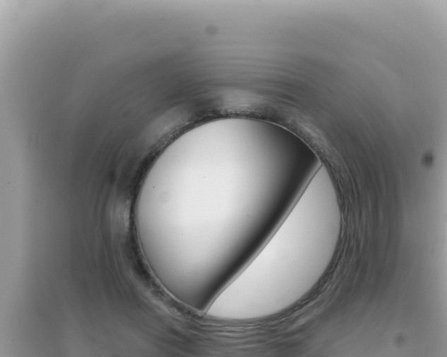 X0000095130454200712071012
