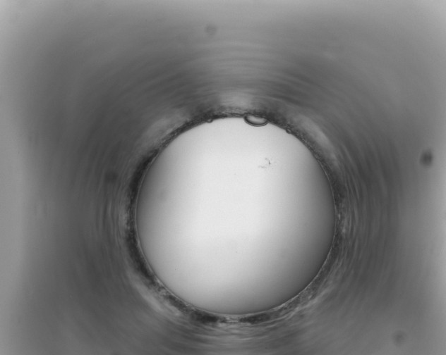 X0000095130455200712071012
