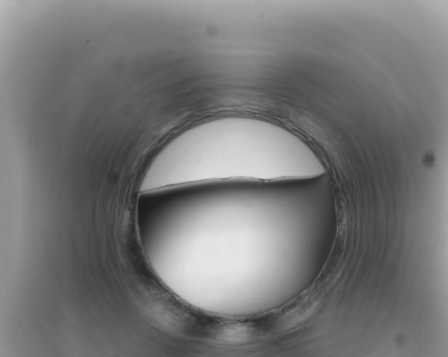 X0000095130456200712071012