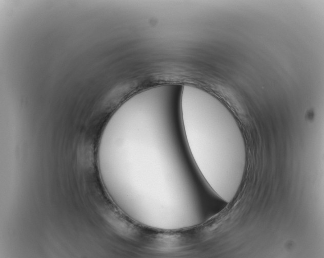 X0000095130457200712071012