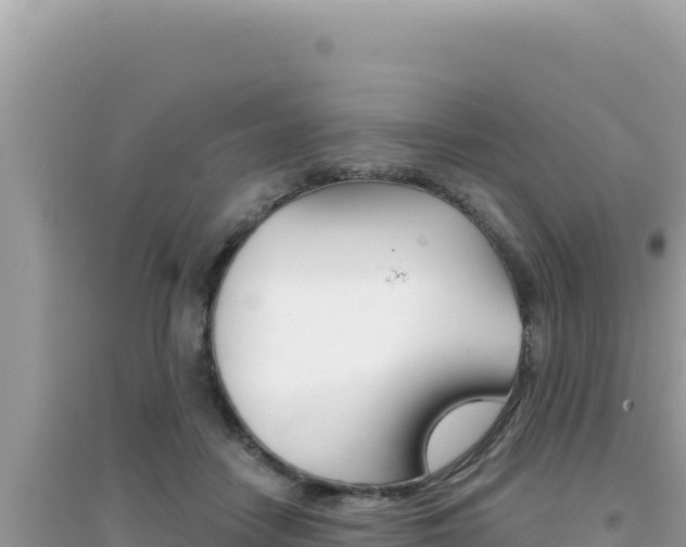 X0000095130458200712071012