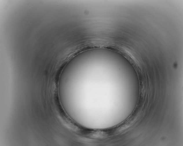 X0000095130459200712071012