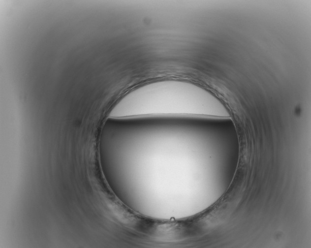 X0000095130461200712071012