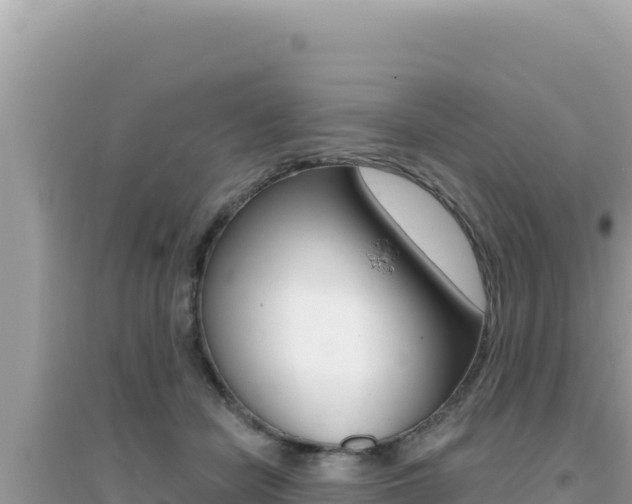 X0000095130462200712071012