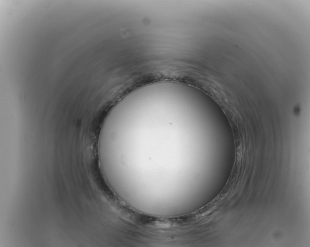 X0000095130464200712071012