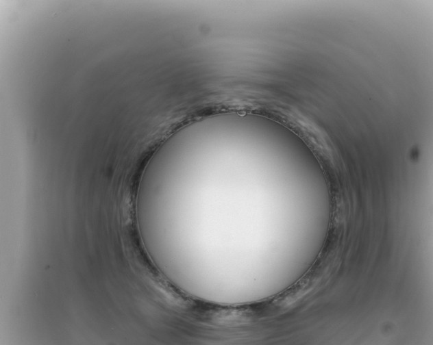 X0000095130465200712071012