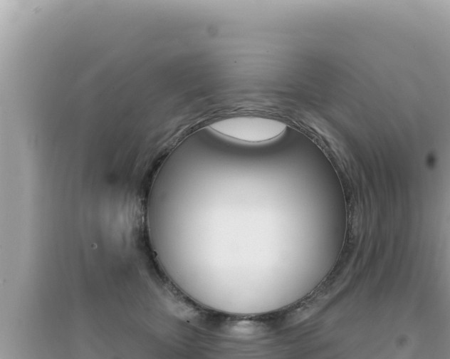 X0000095130467200712071012