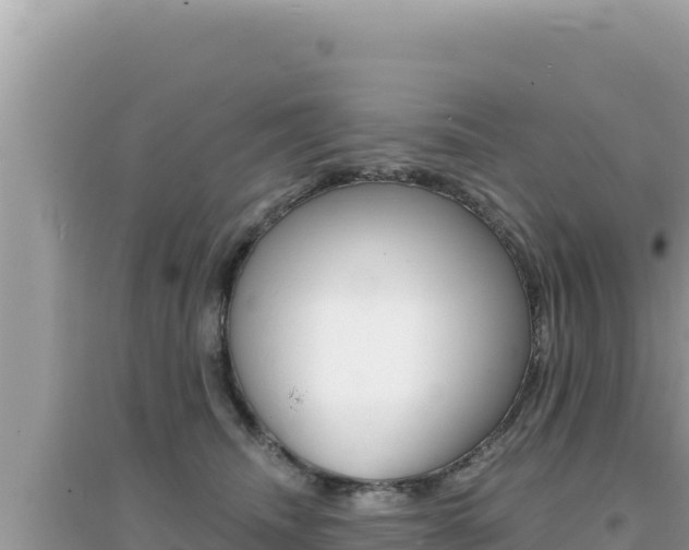 X0000095130468200712071012