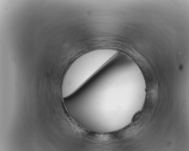 X0000095130469200712071012