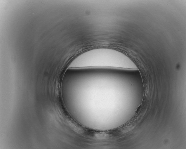 X0000095130470200712071012
