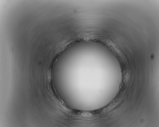 X0000095130471200712071012