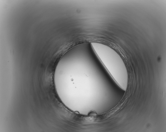X0000095130473200712071012