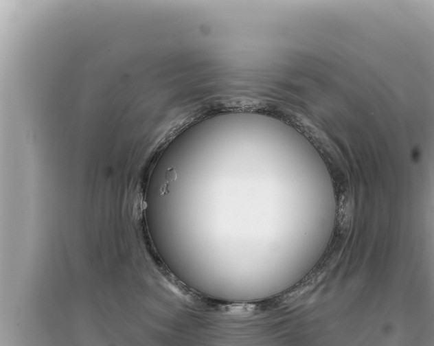 X0000095130474200712071012