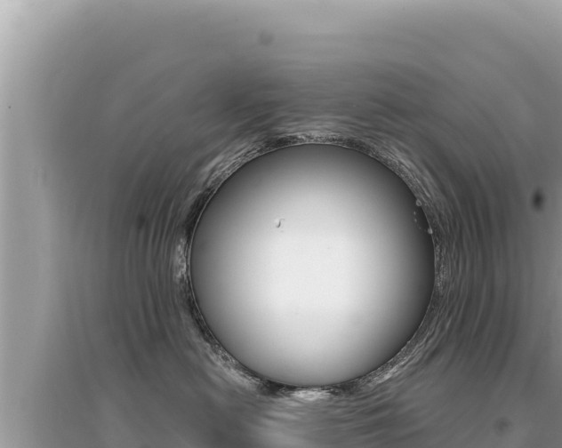 X0000095130478200712071012