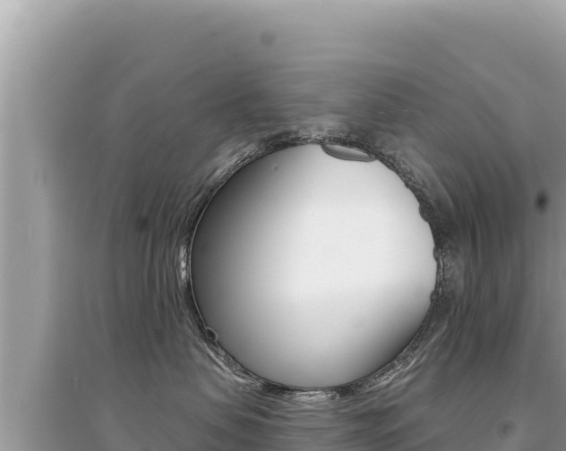 X0000095130479200712071012
