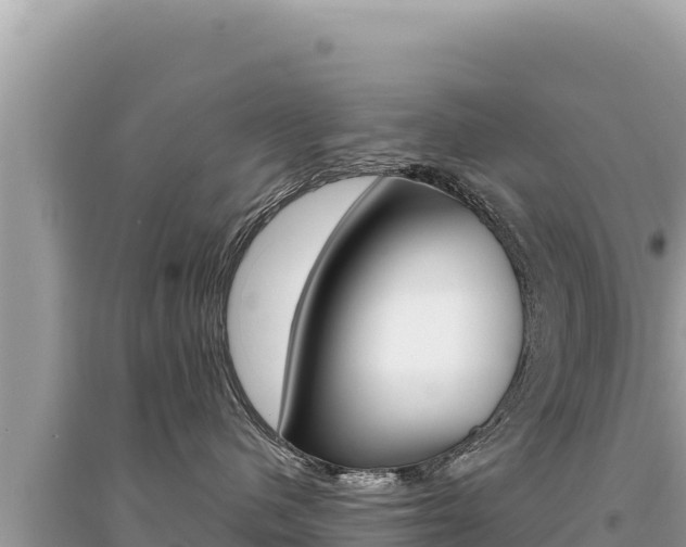X0000095130480200712071012