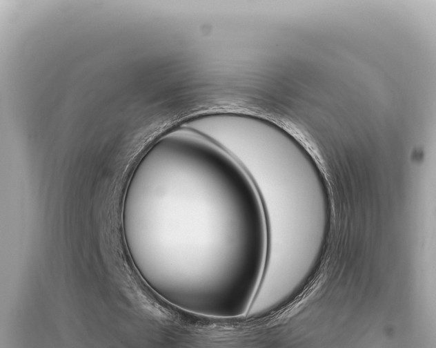 X0000095130481200712071012