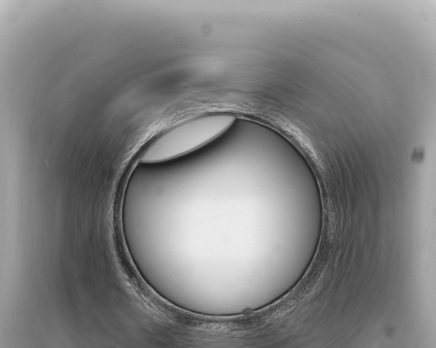 X0000095130482200712071012