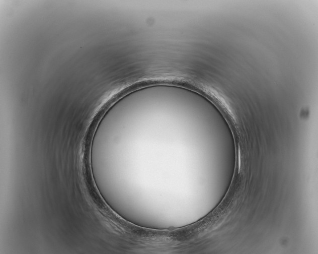 X0000095130483200712071012