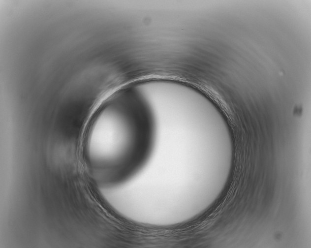 X0000095130484200712071012