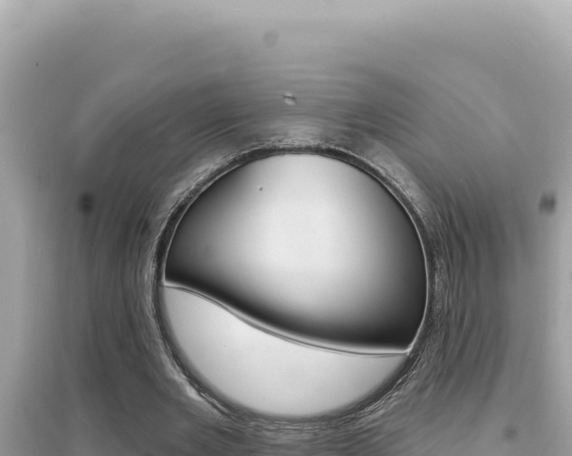 X0000095130485200712071012