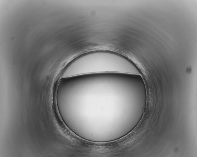 X0000095130486200712071011