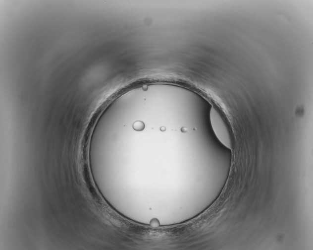 X0000095130487200712071011