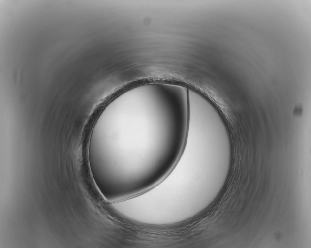 X0000095130488200712071011
