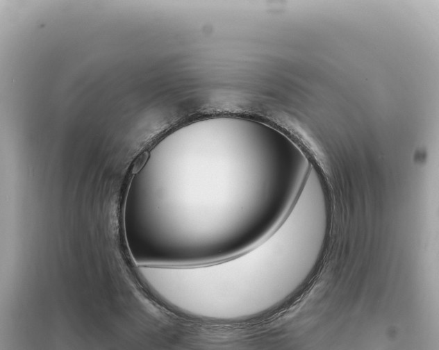 X0000095130489200712071011