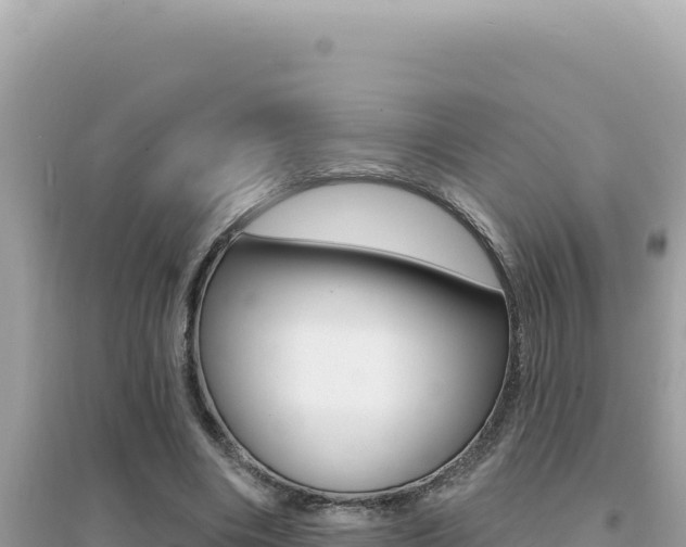 X0000095130490200712071011