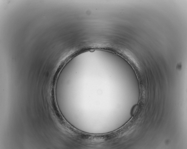 X0000095130491200712071011