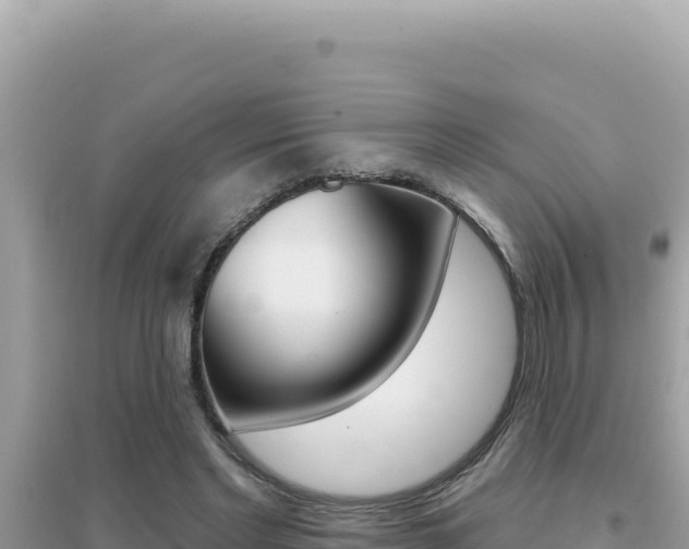 X0000095130493200712071011