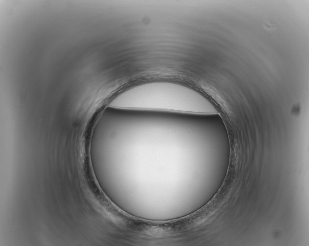 X0000095130494200712071011