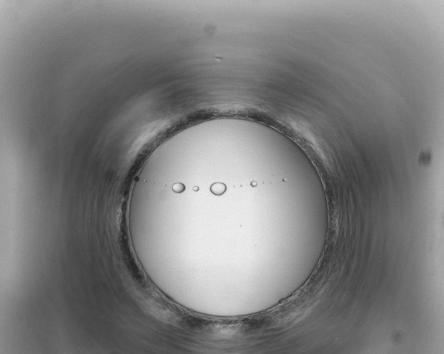 X0000095130495200712071011